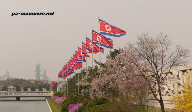 Peluang Beasiswa di Korea Utara: Apa yang Perlu Anda Tahu
