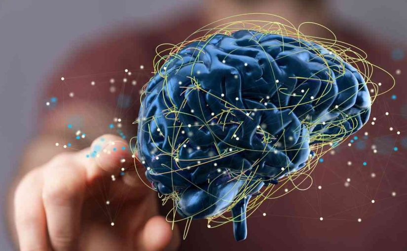 Neuroedukasi Praktis: Teknik Mengajar yang Disesuaikan dengan Cara Otak Bekerja